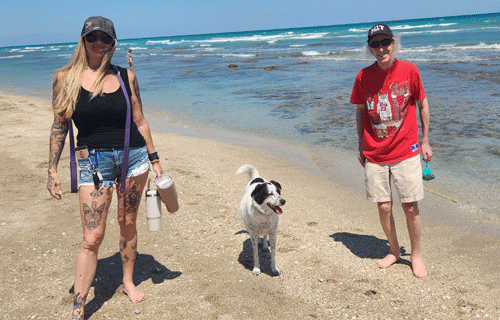 Dog Beach