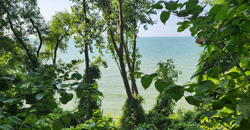 Lake Erie