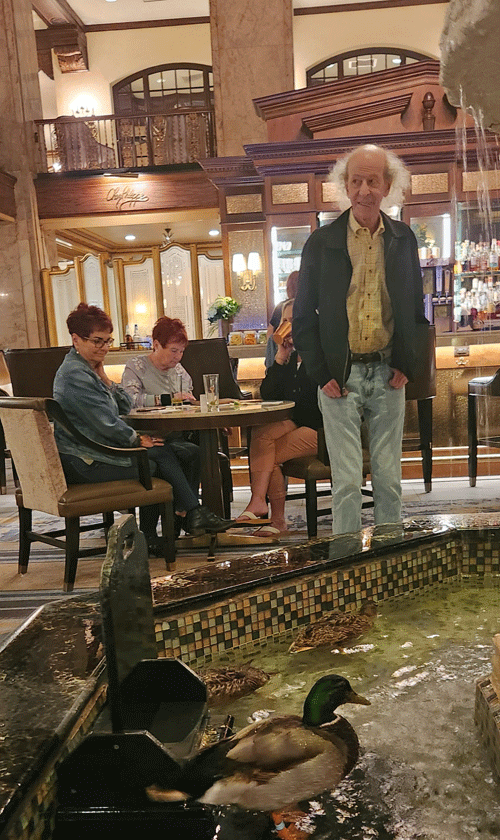 Peabody Hotel Duck