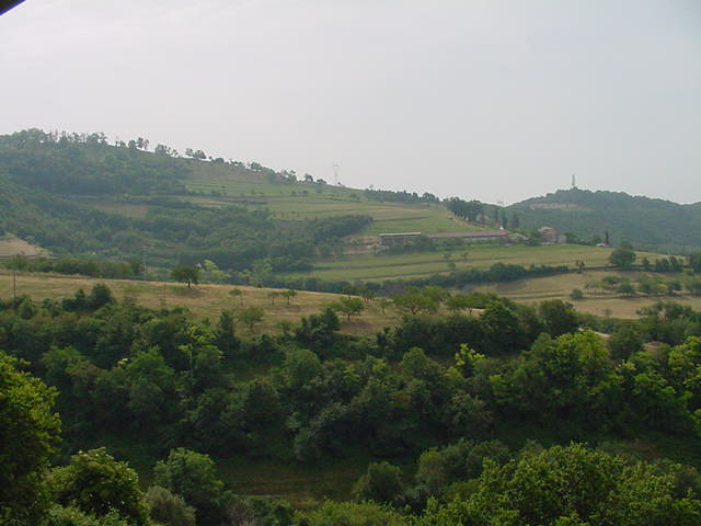 The terraced hill above our tower