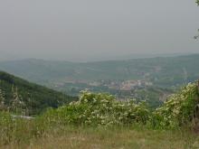 View from the road down from the tower