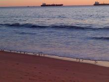 birds at waterline at sunset Dockweiler State Beach, near LAX, CA