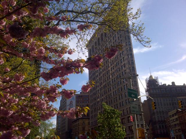 Flat Iron Building