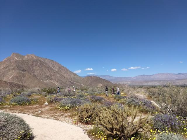 Trail at Visitor center